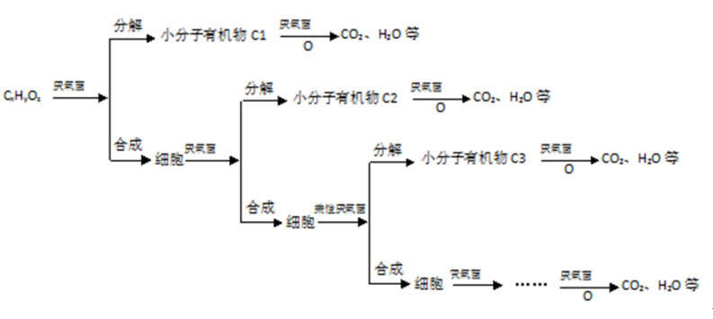 一體化生活廢水處理設備